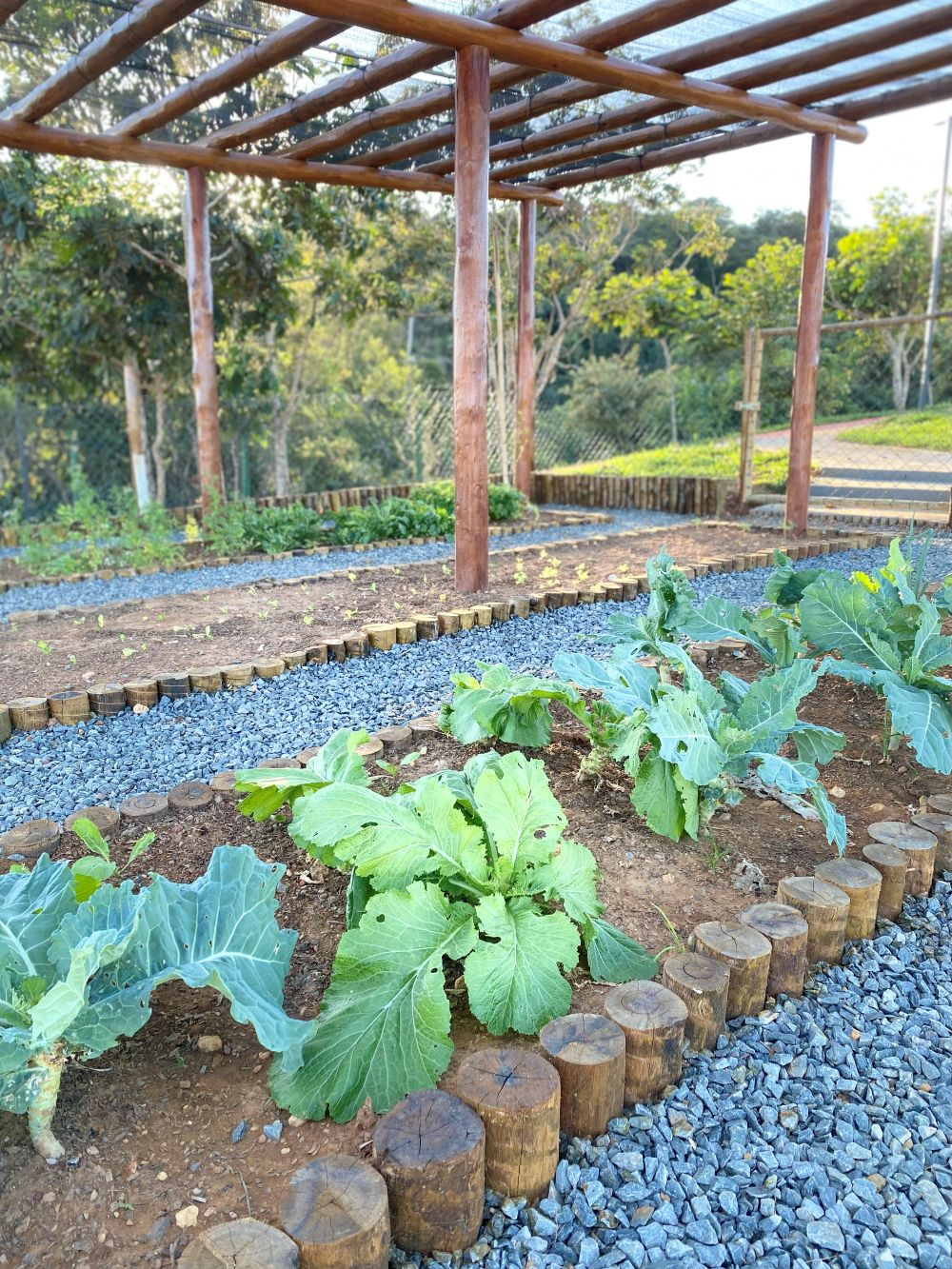 Horta Comunitária